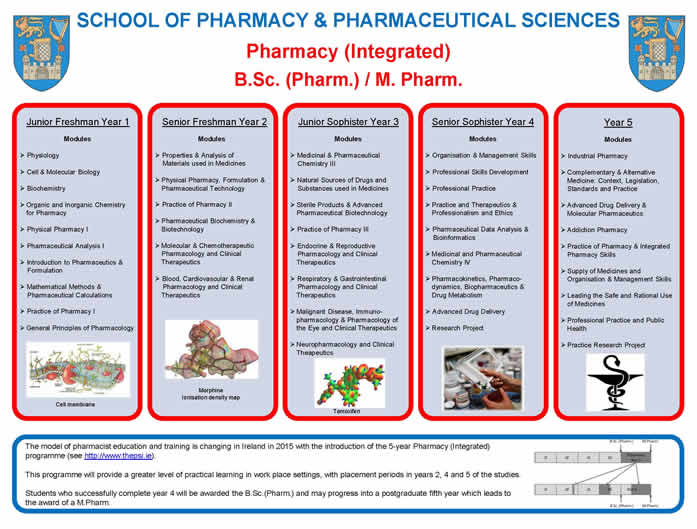 coursework to become a pharmacist